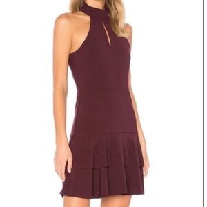 Parker Luana Women's 10 Mini Dress Sleeveless Laser Cut Design Tiered Burgundy E